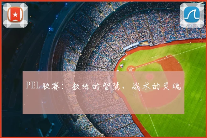 PEL联赛:教练的智慧,战术的灵魂