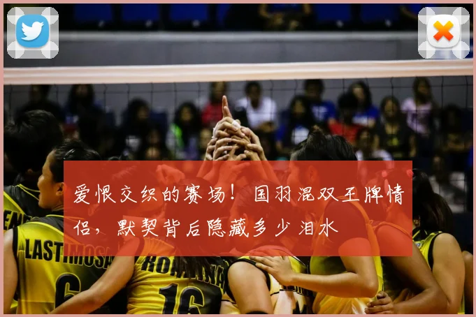 爱恨交织的赛场！国羽混双王牌情侣，默契背后隐藏多少泪水