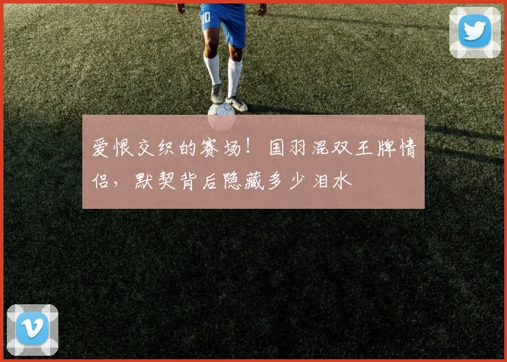 爱恨交织的赛场！国羽混双王牌情侣，默契背后隐藏多少泪水
